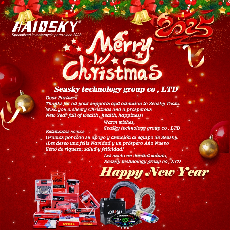 Celebrate Christmas with HAISSKY