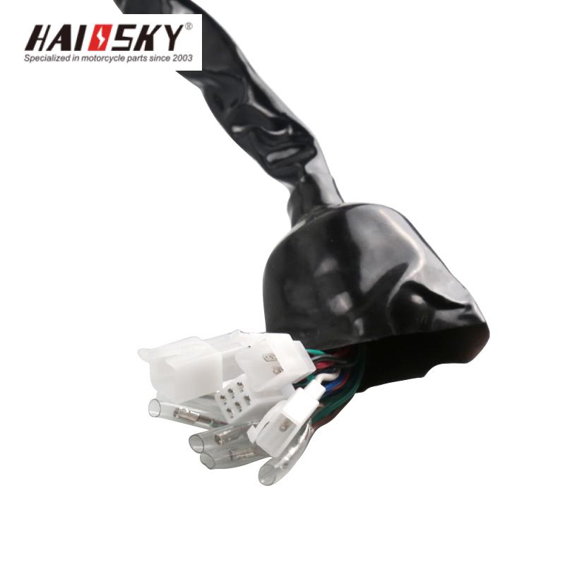 HAISSKY GXT200 Full Wiring Harness | Arnés de Cableado Completo para GXT200 - Image 2