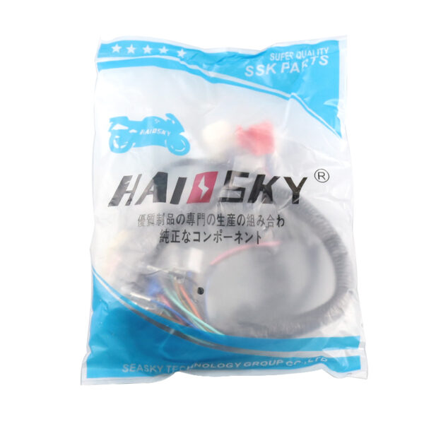 HAIOSKY YBR Complete Wiring Harness | Arnés de Cableado Completo para YBR - Image 3