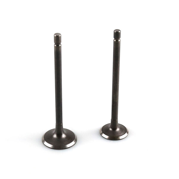 HAISSKY CG125 Engine Valve | Válvula de Motor para CG125