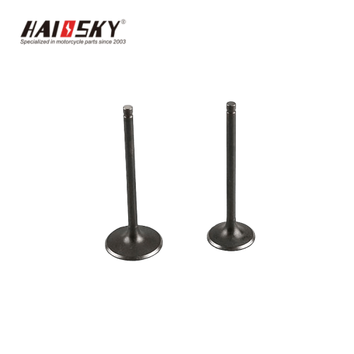 HAISSKY GXT200 Motorcycle Engine Valve | Válvula de Motor para GXT200
