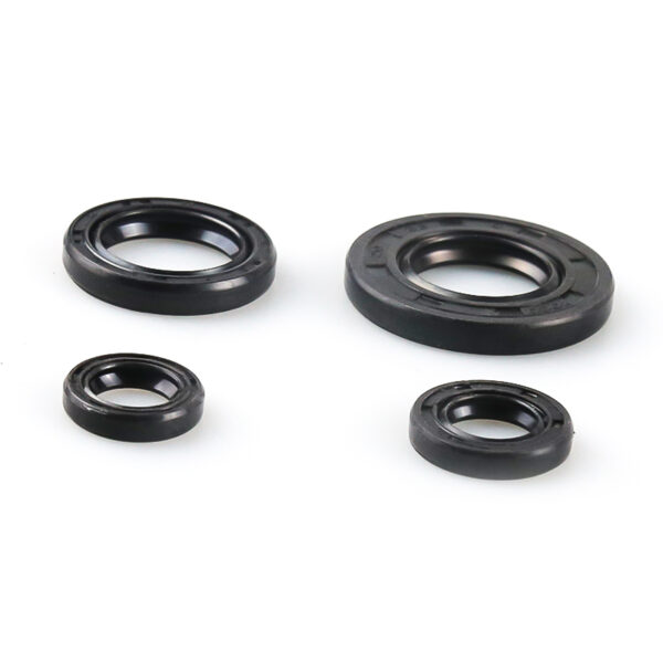 HAISSKY YBR Complete Oil Seal Kit | Juego Completo de Retenes de Aceite para YBR