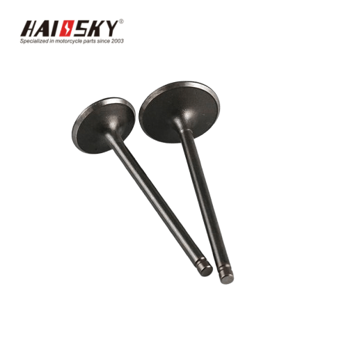 HAISSKY GXT200 Motorcycle Engine Valve | Válvula de Motor para GXT200 - Image 2