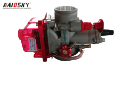 HAISSKY Pink Performance Carburetor Kit