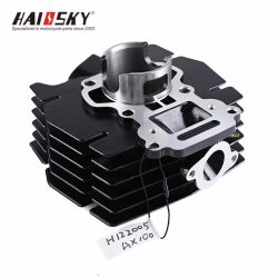 haissky-ax100-cylinder haissky-ax100-cylinder