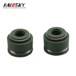 haissky-cg-valve-oil-seal.jpg