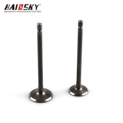 haissky-cg125-engine-valve