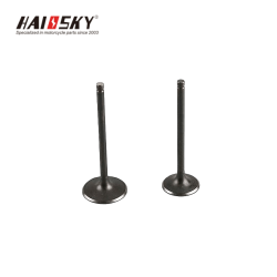 haissky-gxt200-engine-valve