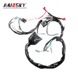 haissky-hj125-complete-wiring-harness-motorcycle-haissky-arnes-de-cableado-completo-hj125-motocicleta