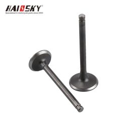 haissky-ybr125-valve